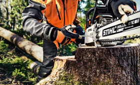 Scies à chaîne à essence pour la foresterie