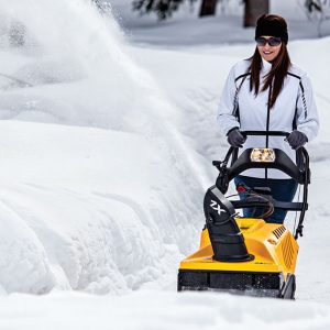 Souffleuses à neige à une phase